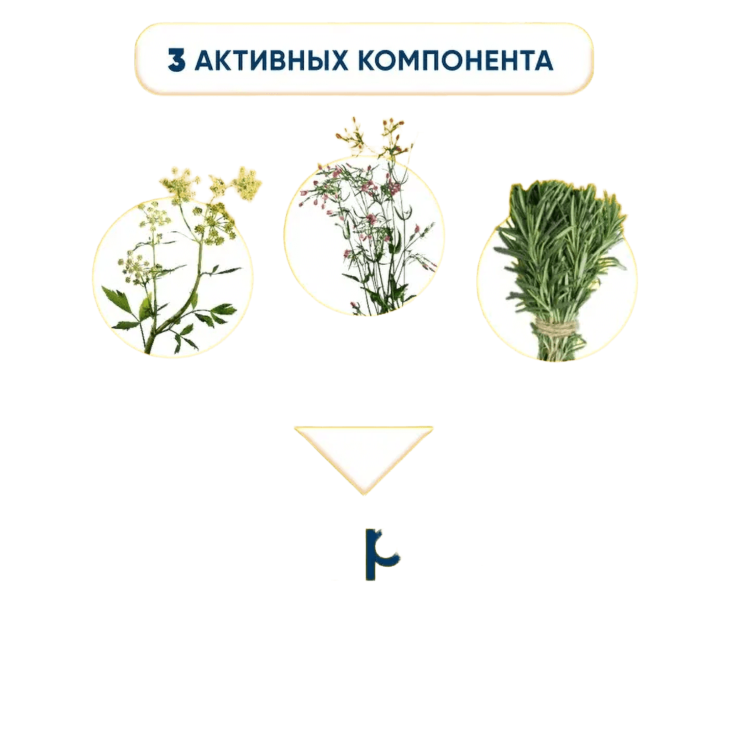 Канефрон Н, драже №120