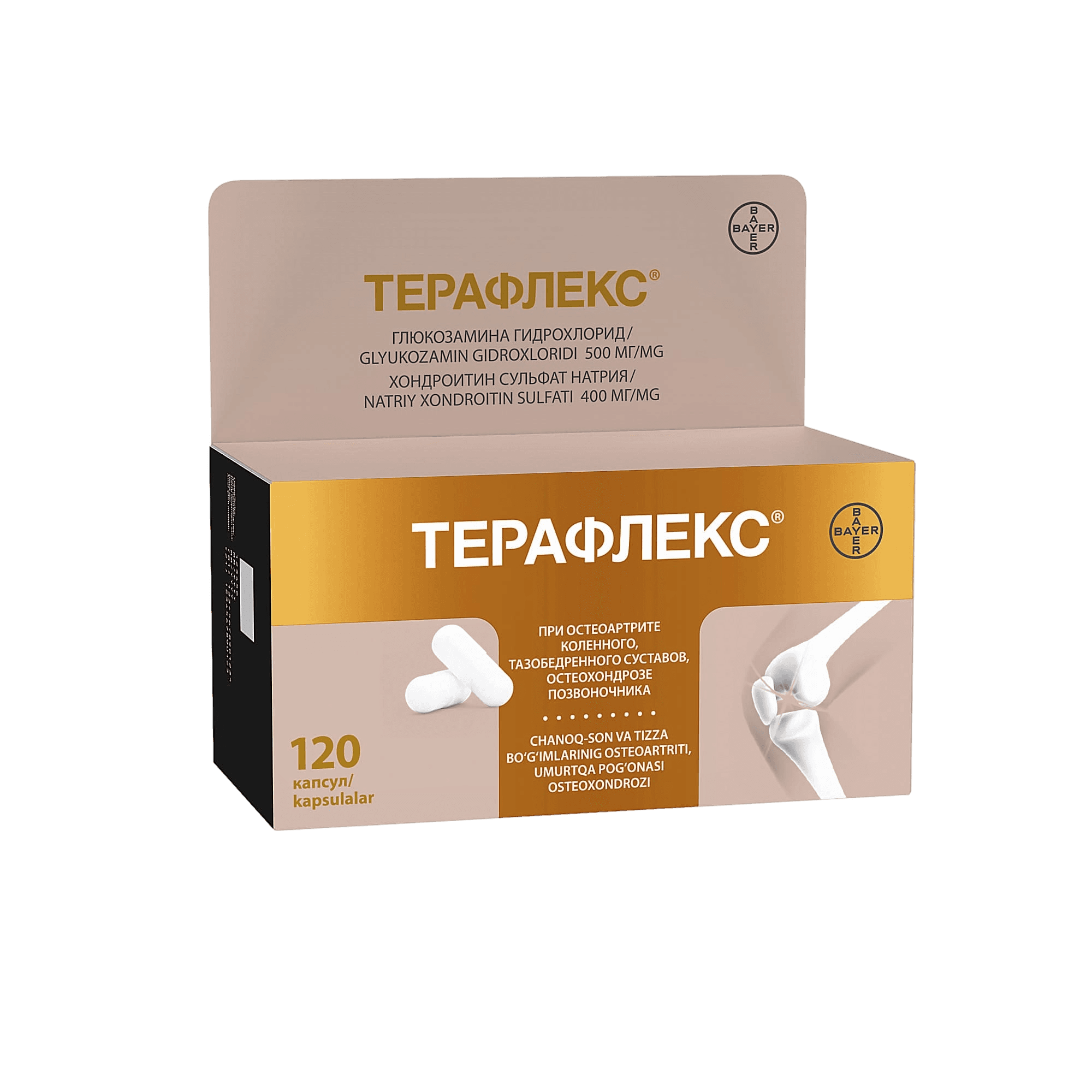 Терафлекс, капс. №120