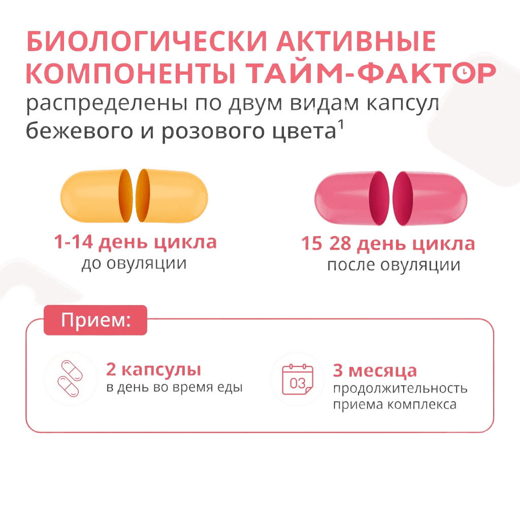 Тайм-Фактор, капс. №60